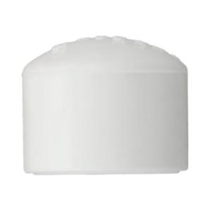 Charlotte 3/4" PVC Cap Slip